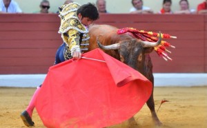 Imanol Sánchez en Orthez 2014