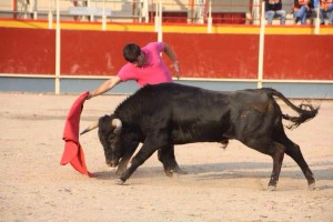 Imanol Sánchez ante un eral de Ozcoz en Borja.